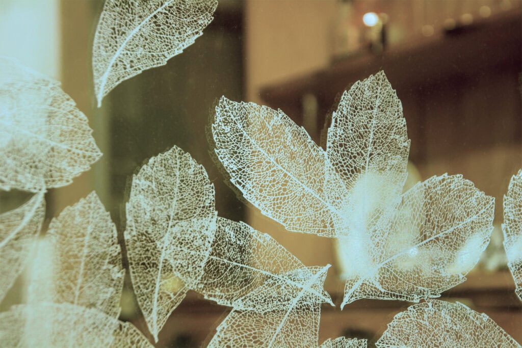 Detail of sandblasted leaf motif on residential glass panel